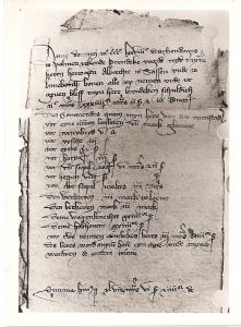 Die Urkunde von 1378 aus Celle.